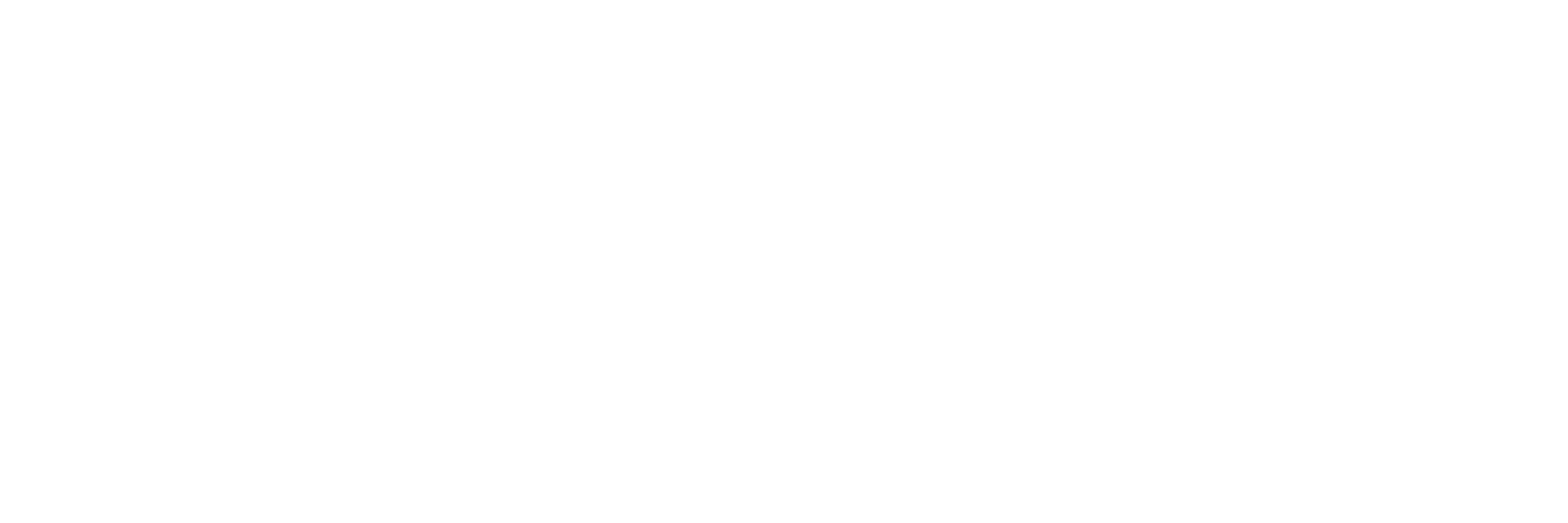 Careem Logo