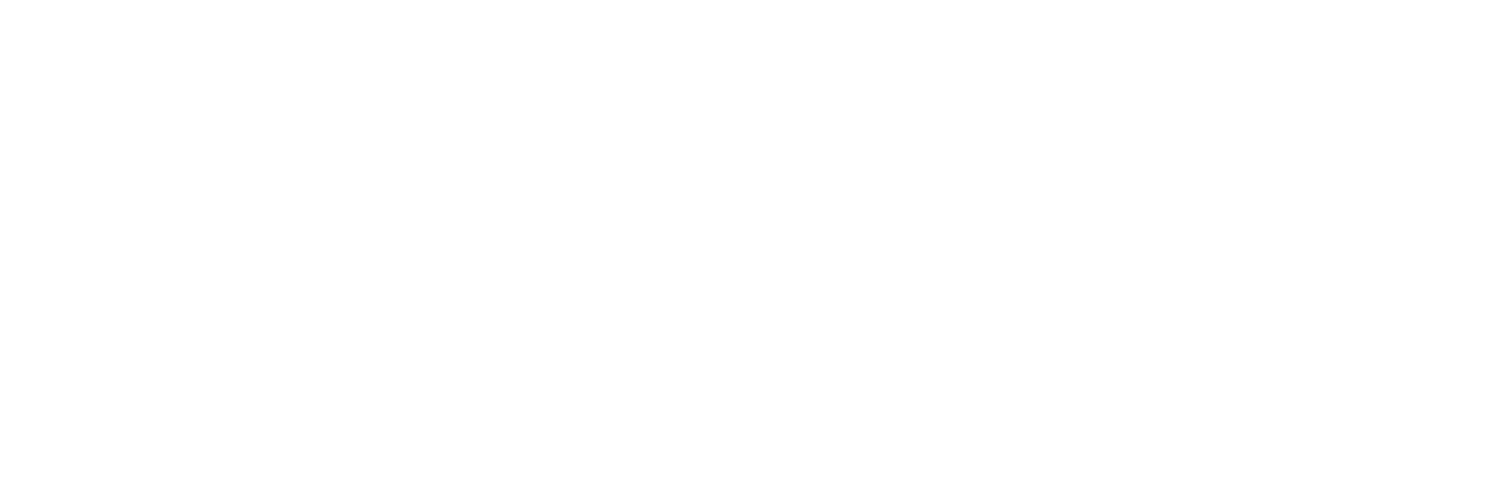 Noon Food Logo